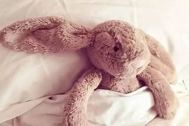 邦尼兔安抚玩具,邦尼兔所有款式玩具