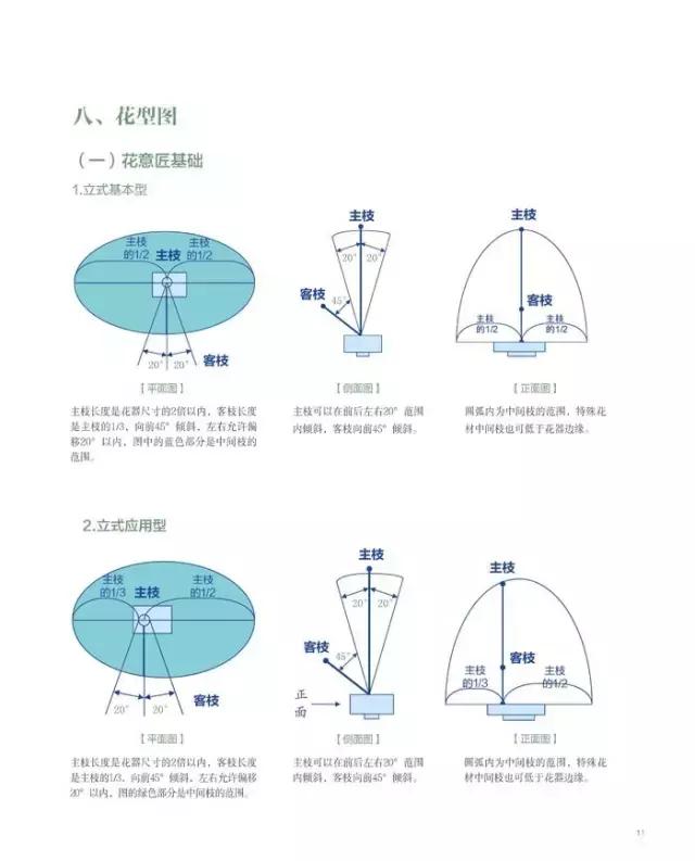 学习插花真的有前途吗,在家看书插花