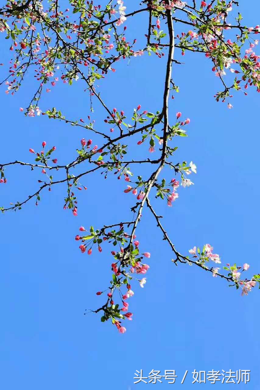 一家人信仰不一样会怎么样,家人信仰不一样有冲突吗