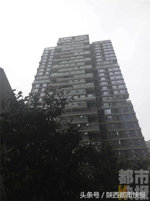 厨房橱柜里面有白蚁,新装修的厨房怎么会有蚂蚁