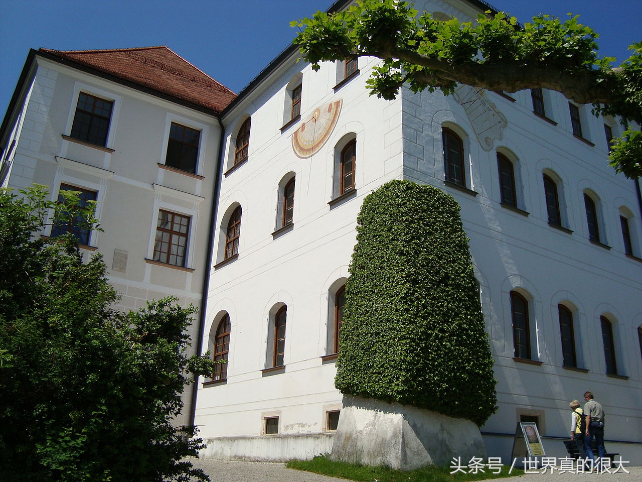 这两个岛有性别，一个是男人岛，一个是女人岛，如今却混了