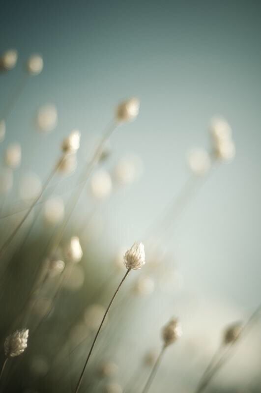 改变就在坚持的每一天,改变就在当下歌曲