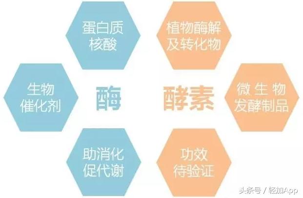 酵素能减肥吗有没有副作用,酵素能减肥吗效果好吗