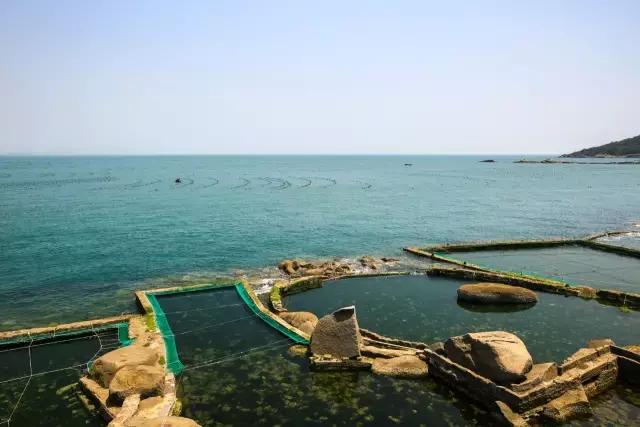 青岛周末休闲度假好地方冬天,青岛适合一家老小度假的地方