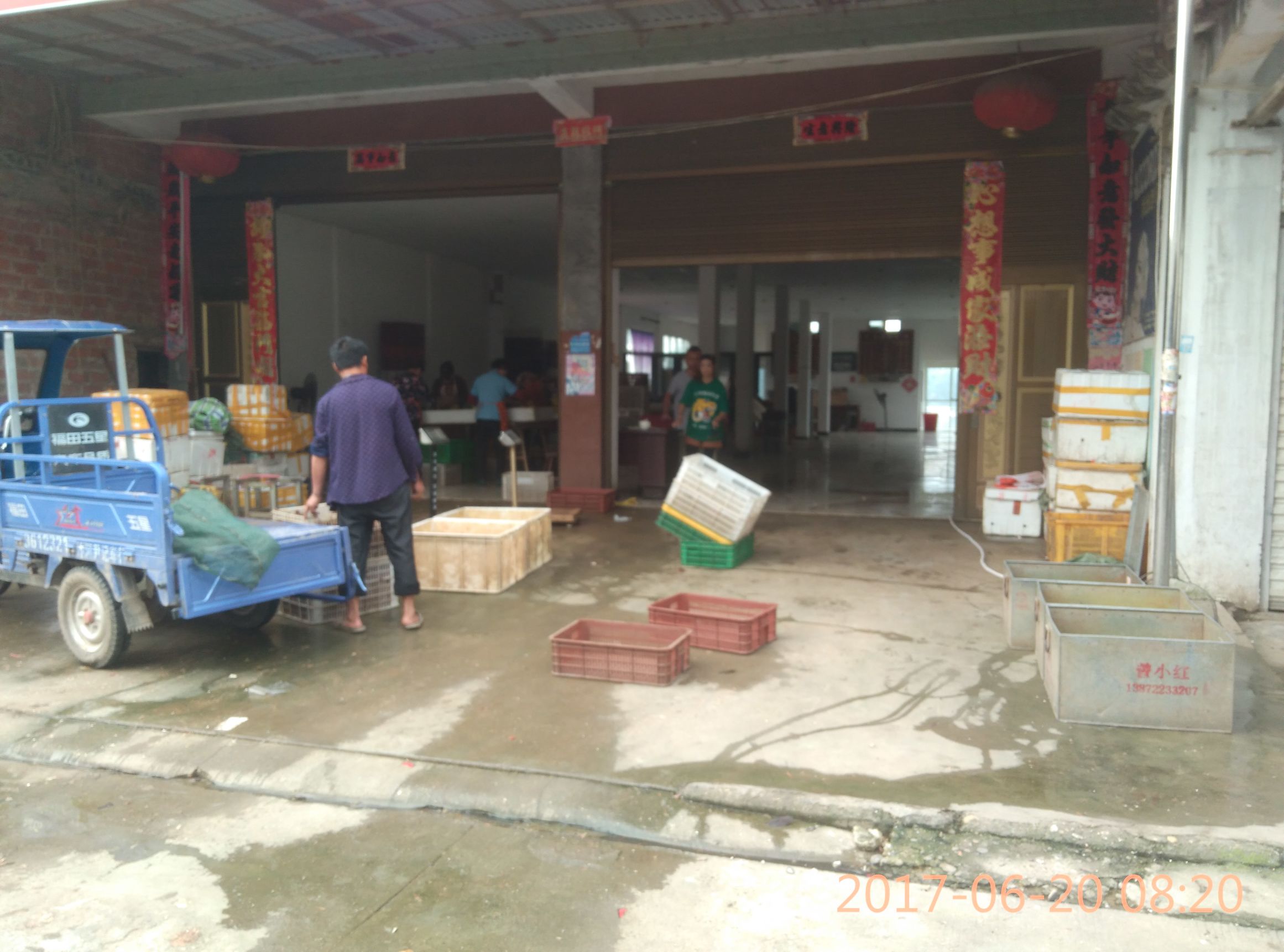 卖小龙虾怎么才能卖得更快,虾农卖龙虾视频