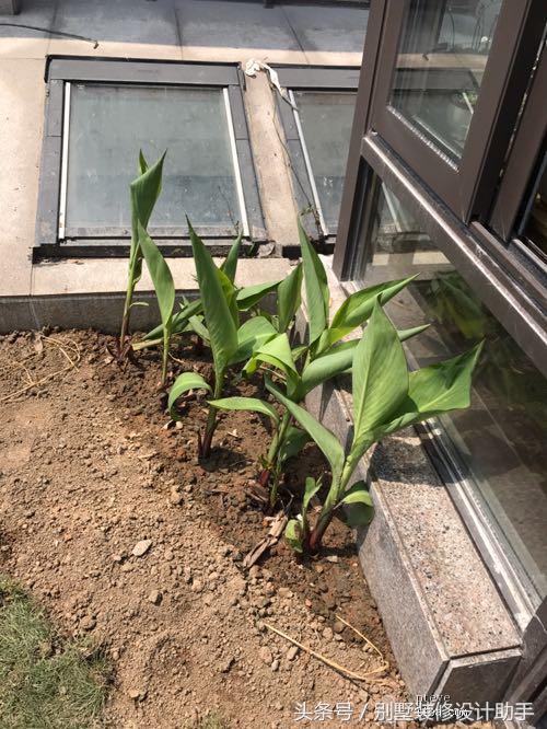 600平别墅装地源热泵,装修光伏太阳能阳光房