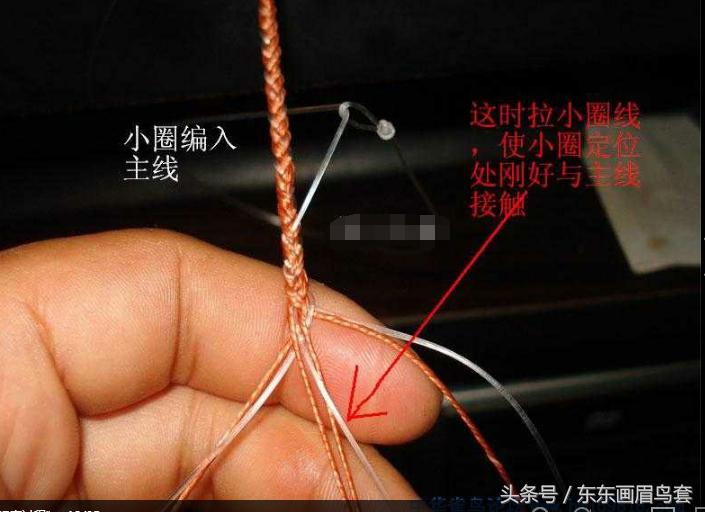 东东画眉鸟套之各种好看实用的绳套你了解吗？