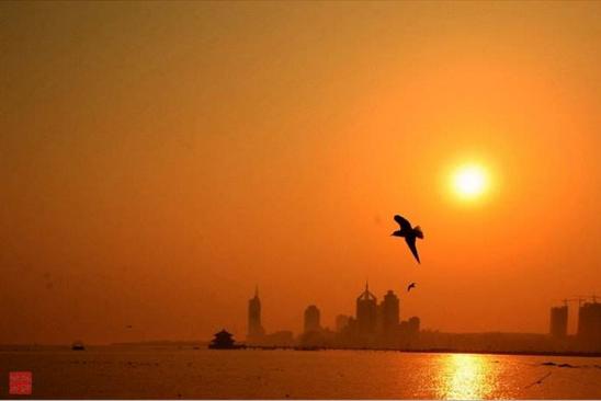 周一主力净流入前40只股,周一主力资金流出额度较大个股