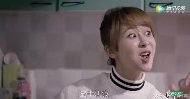 欢乐颂五美的经济阶层,欢乐颂五美是什么工作