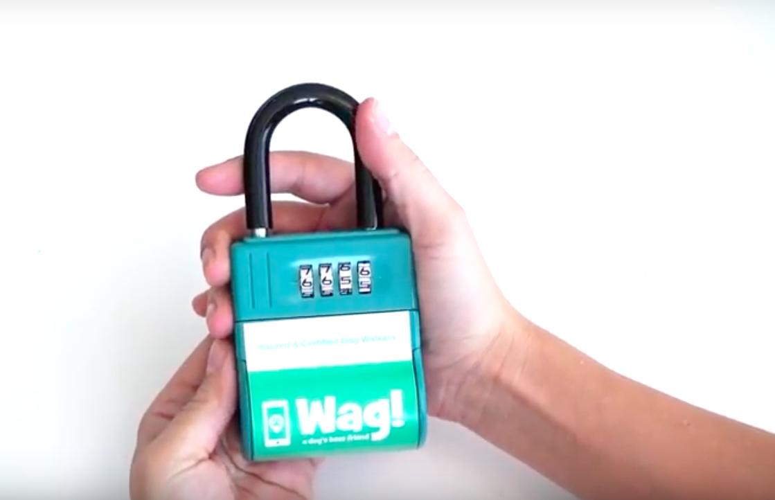 开会不能遛狗?出差在外狗狗怎么办?宠物界Uber与Airbnb帮您搞定爱宠所需!