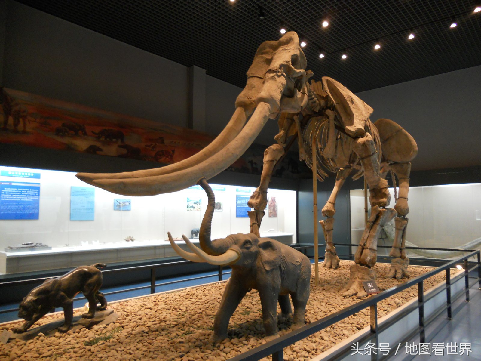 以合肥为中心最适宜旅游的风景区,合肥高铁功能区有哪些景点