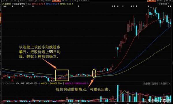 蚂蚁上树选股公式,一分钟选股法附选股公式