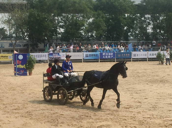 中国马术现状及发展趋势,大连马术基地