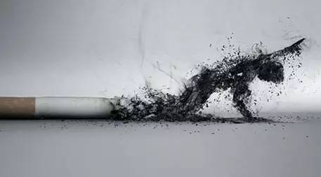 海淘界的小鲜肉不光奶粉化妆品，心血管保健品也正当红！你买对了吗？