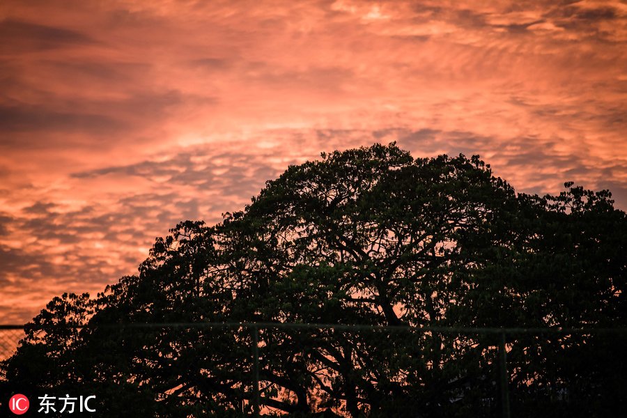 世预赛亚洲区男足今晚有比赛吗,2018世预赛亚洲区40强赛国足