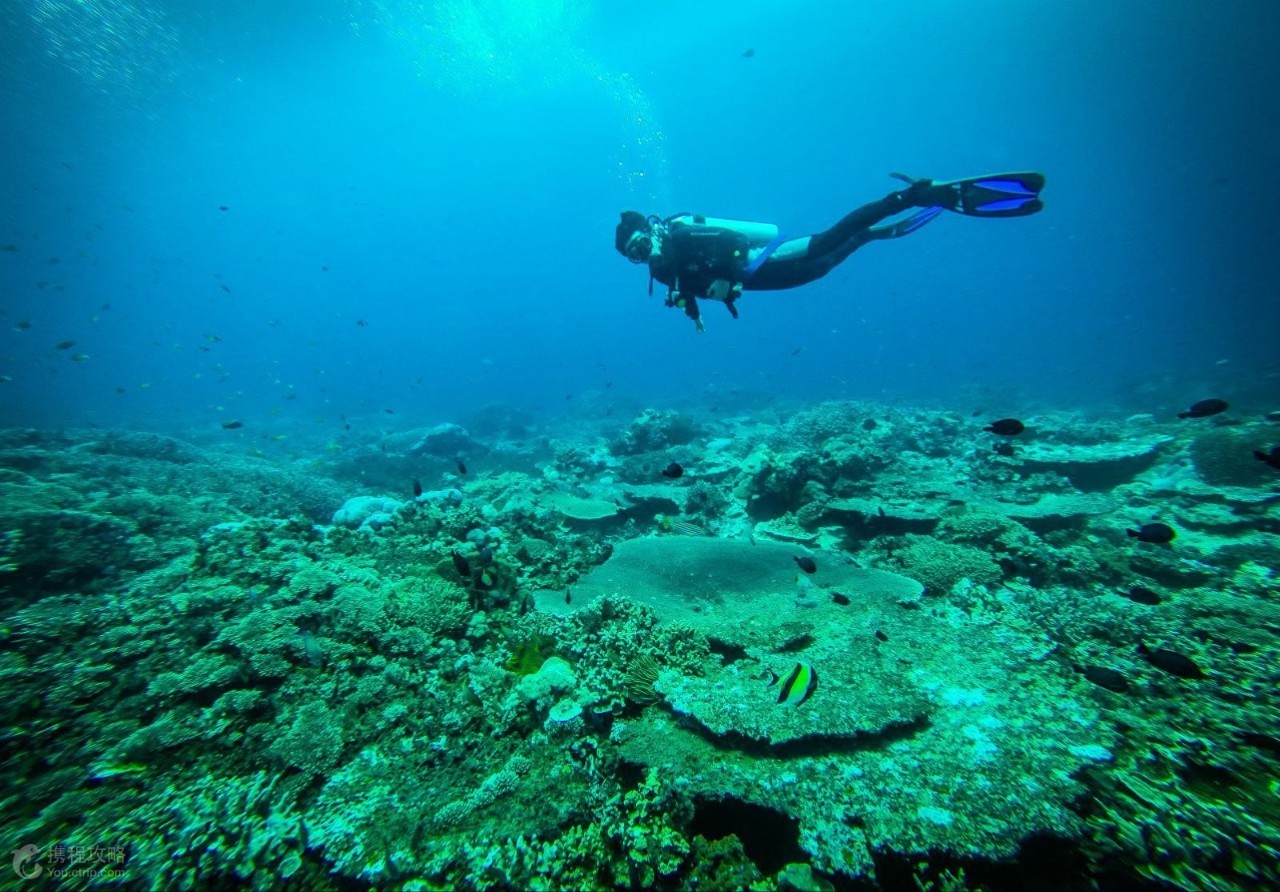 南通直飞巴厘岛,南通飞普吉岛