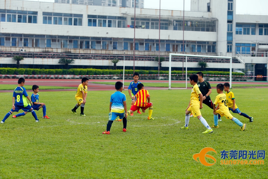 足球胜负怎么理解,如何做到足球胜负分析精准