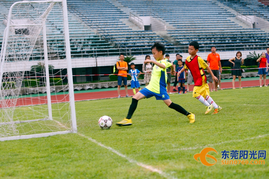 足球胜负怎么理解,如何做到足球胜负分析精准