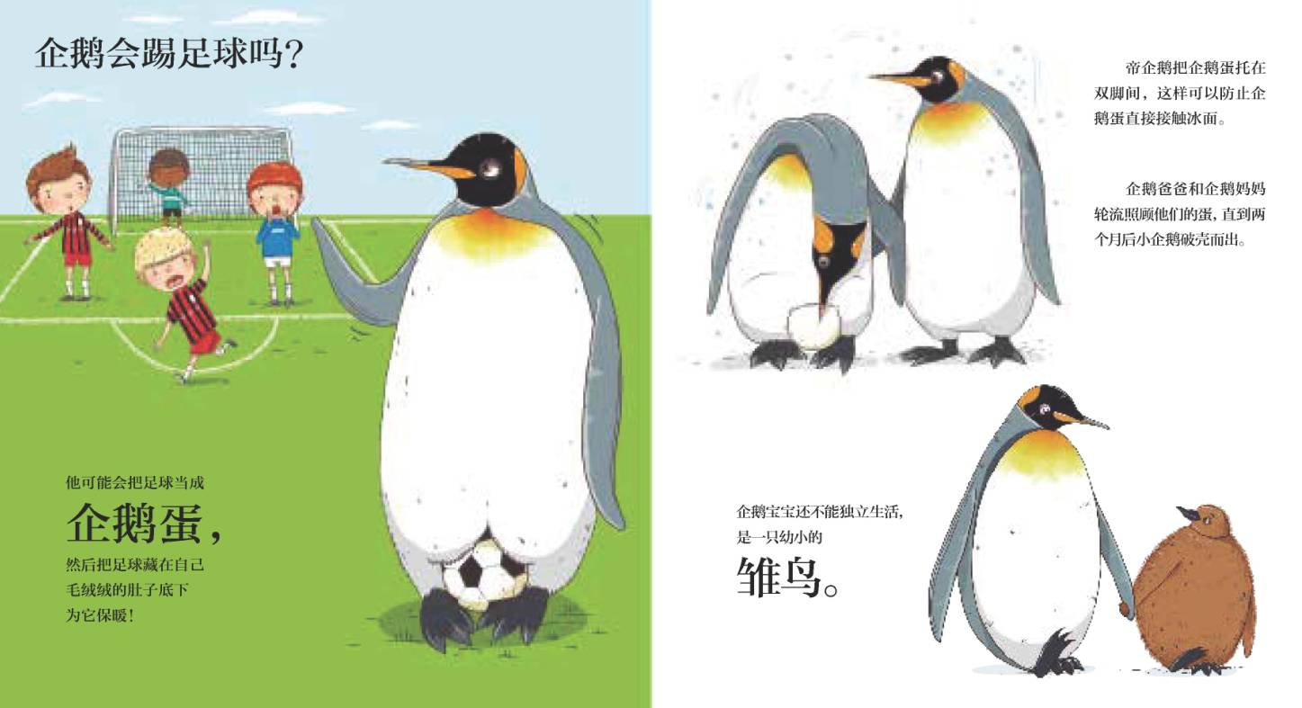 奇思妙想科普绘本解读,儿童必看的自然科普绘本