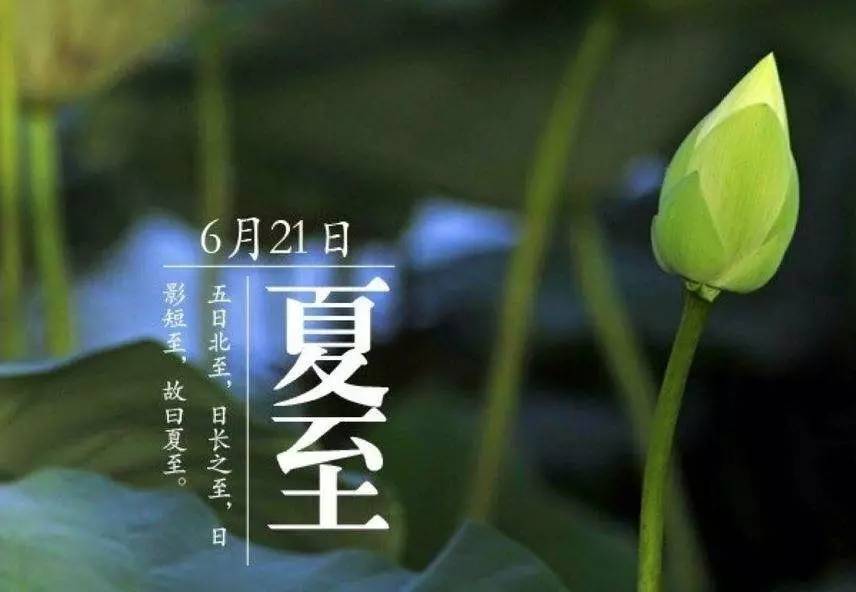 健康人贴三伏贴,冬病夏治三伏贴火热开贴