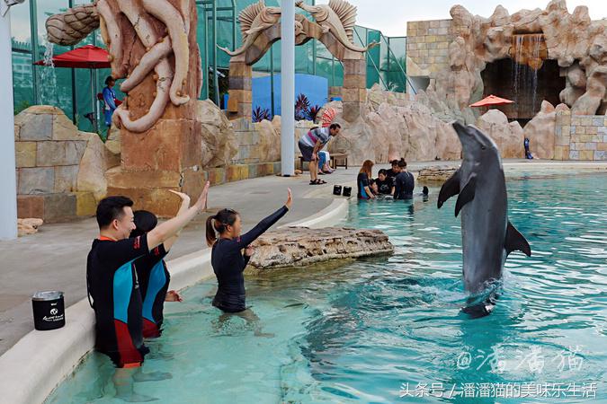 新加坡圣淘沙名胜世界小程序,新加坡圣淘沙必去的3个景点