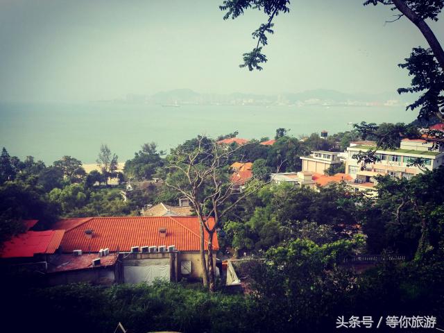 厦门五天四晚最佳攻略,5天4夜的厦门之旅