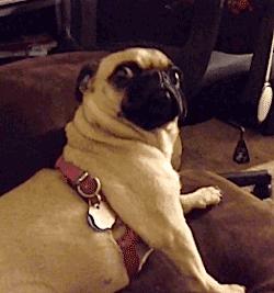 教你怎么撩你暗恋的人,你暗恋的人有了对象怎么办