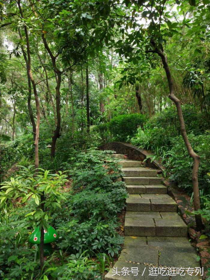 广州蟹山公园,广州蟹山公园免费吗