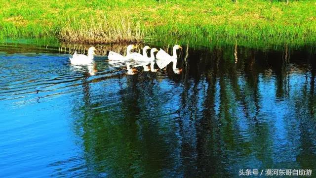 漠河包车旅游攻略,漠河晓黄自助旅游包车服务