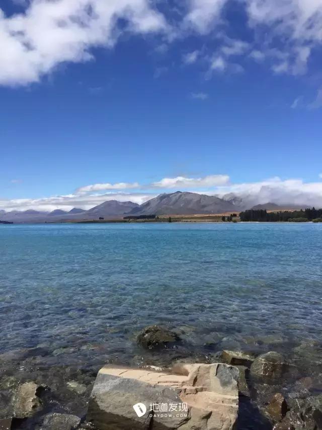 痛哭！即使今天抢不到新西兰打工旅行签证，也不能放弃新西兰啊！