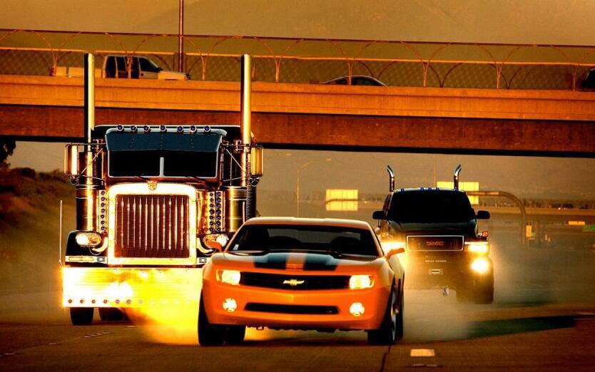 大黄蜂科迈罗发展史,大黄蜂科迈罗通过性