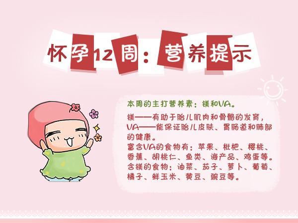 怀孕初期一到三个月要注意什么,怀孕早期三个月要注意什么