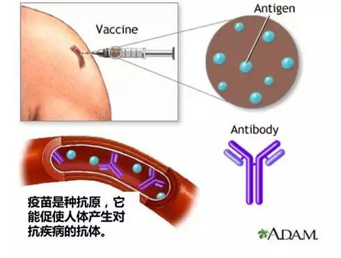 手足口的防治公开课,大人手足口治疗方法及护理