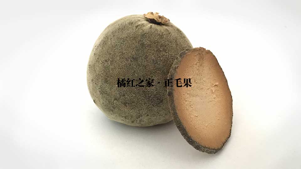 慢性咽炎患者：广东有一种名贵中药材