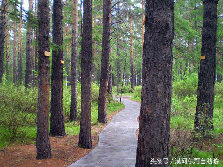漠河包车旅游攻略,漠河晓黄自助旅游包车服务