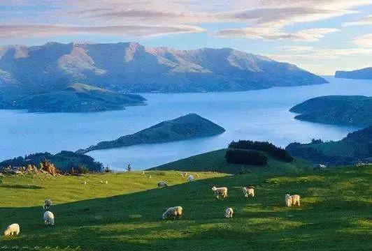 痛哭！即使今天抢不到新西兰打工旅行签证，也不能放弃新西兰啊！