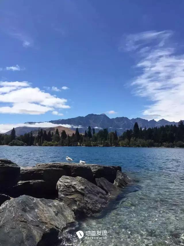 痛哭！即使今天抢不到新西兰打工旅行签证，也不能放弃新西兰啊！