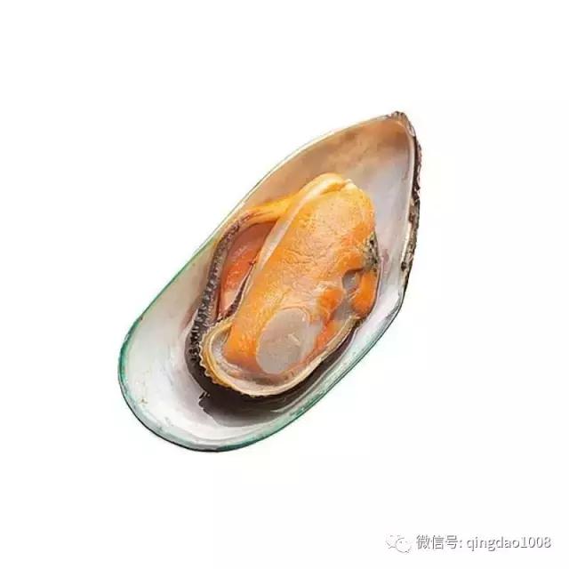 新西兰青口贝规格,新西兰青口贝1000g多少钱