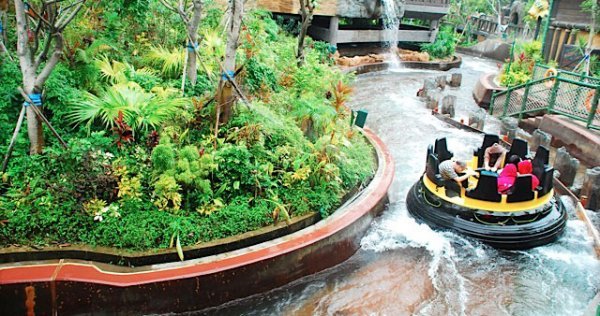 暑假去香港海洋公园攻略图片,去香港海洋公园旅游全攻略