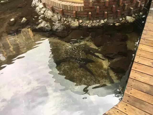 附近美食推荐灶台鱼,超好吃的灶台鱼