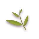 用英语弘扬中国传统文化活动方案,弘扬中华文化传播中国声音