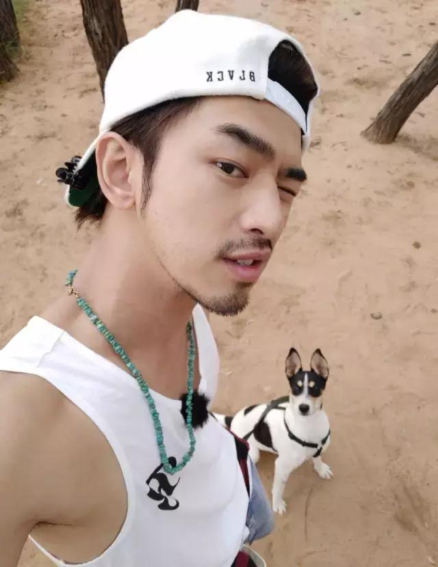 赵又廷胡歌黄轩,赵又廷胡歌哪个厉害