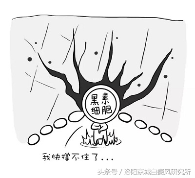 白癜风是什么科普动画,白癜风详细介绍