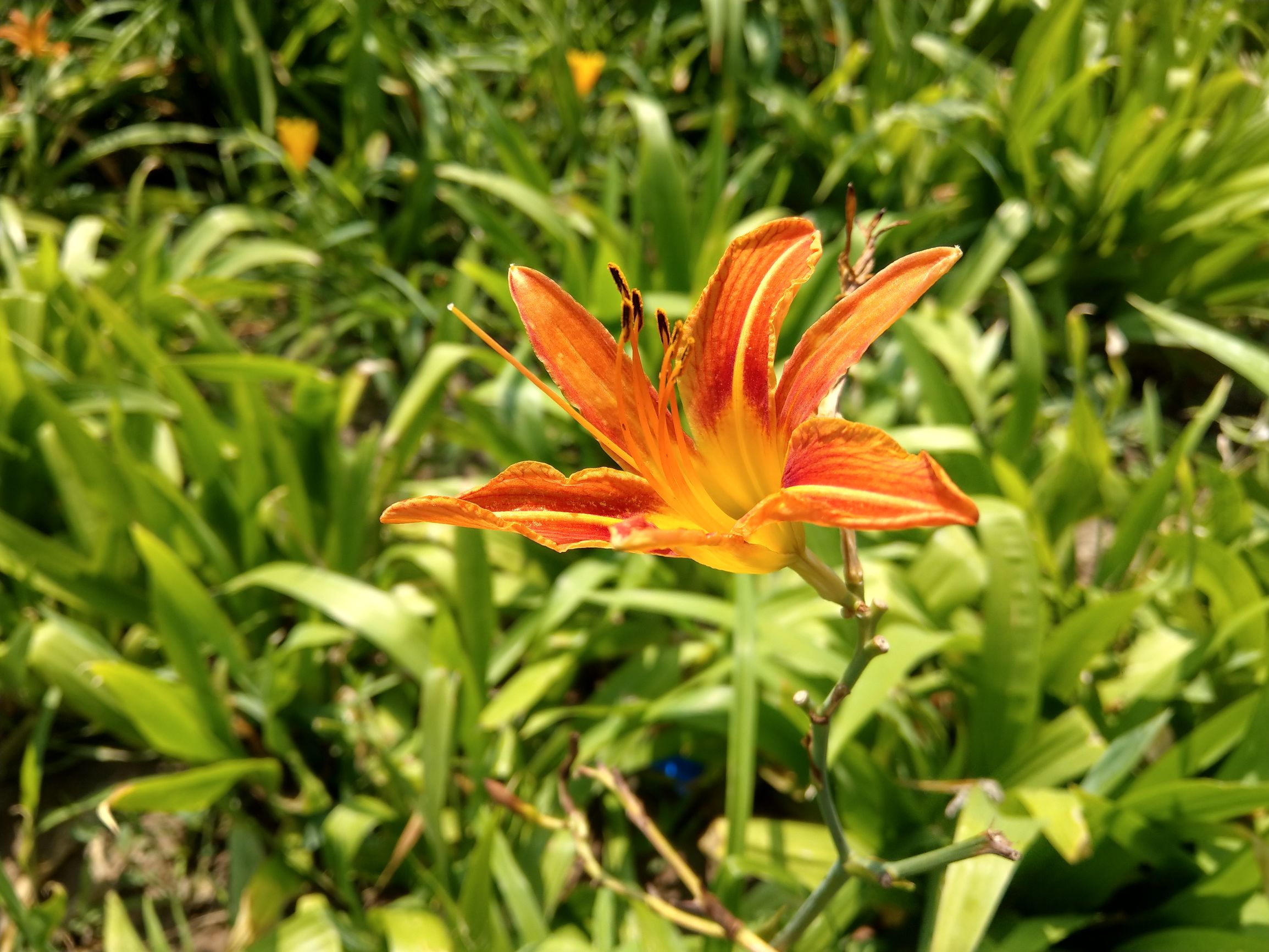 试用HTCU11：没落贵族还值不值得我们掏4599元？