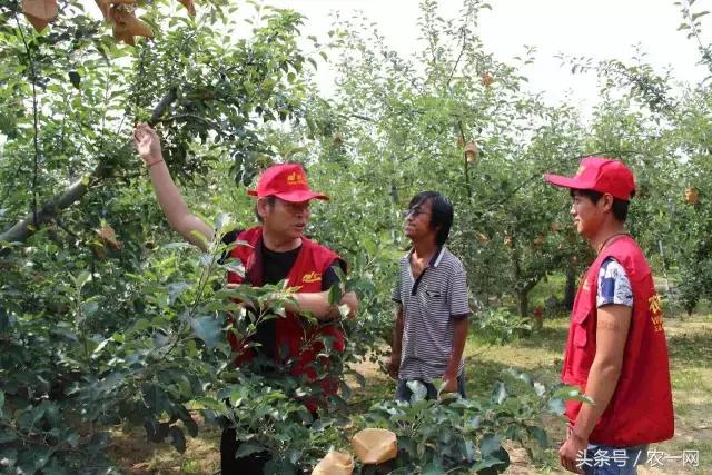 2019年农资生意还好做吗,你的农资生意可不可以做得更大