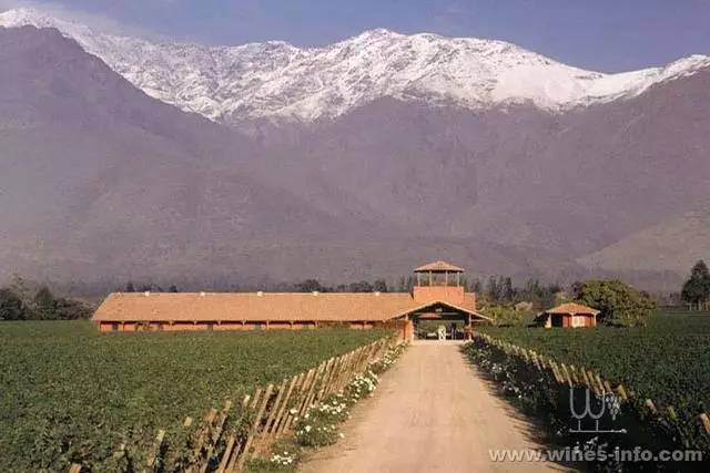 智利最好的红酒庄园,智利比较好的葡萄酒