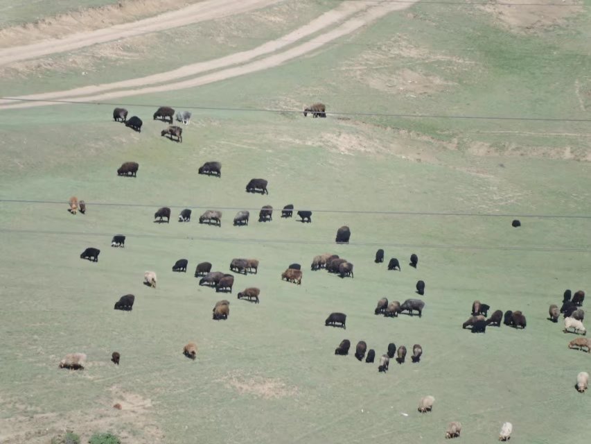 乌鲁木齐石人沟民俗,乌鲁木齐风情