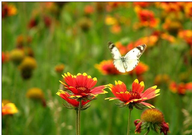 忙碌治疗失恋,忙碌是治愈失恋的最好办法