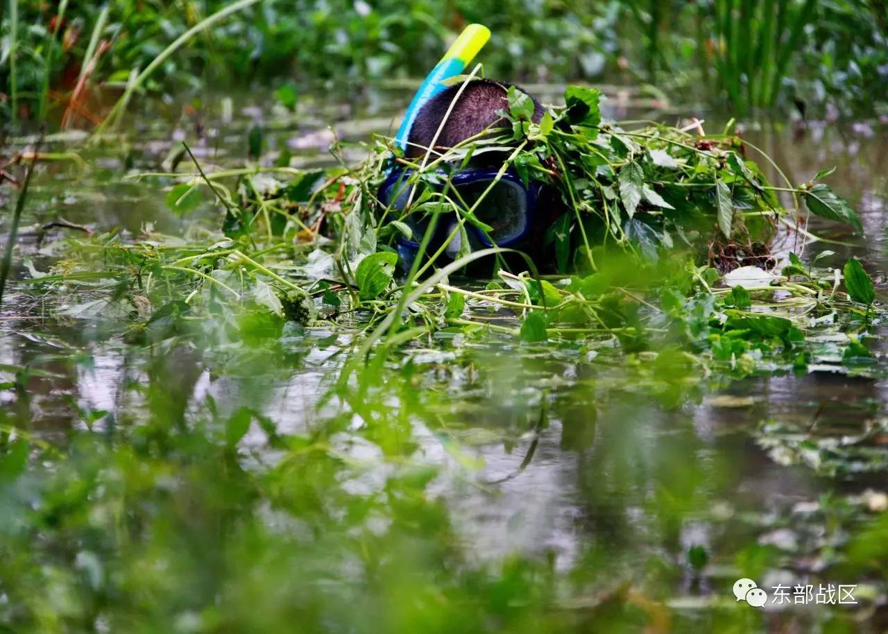 野外驻训会超过半年吗,野外驻训回营区