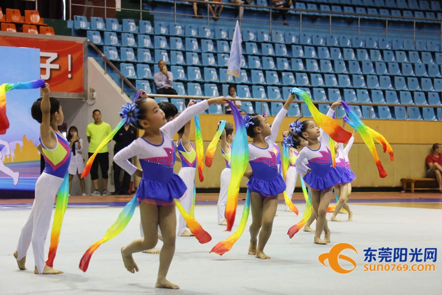 第九届东莞市市运会,2022东莞市体操锦标赛